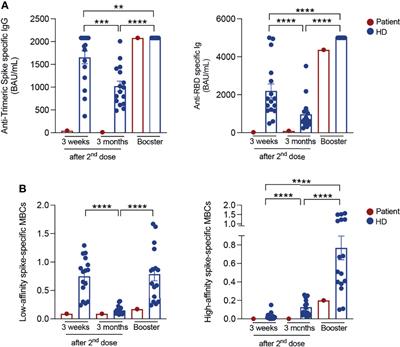 Frontiers | Case Report: Precision COVID-19 Immunization Strategy To ...